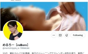 めるろー【reBorn】